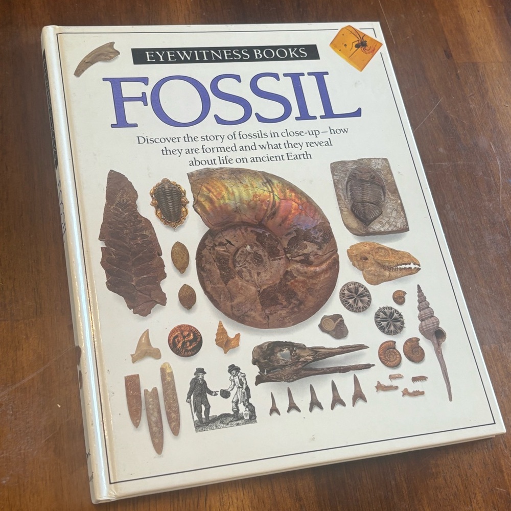VINTAGE 1990 DK Eyewitness Books: Fossil by Paul D. Taylor | Hardcover Book